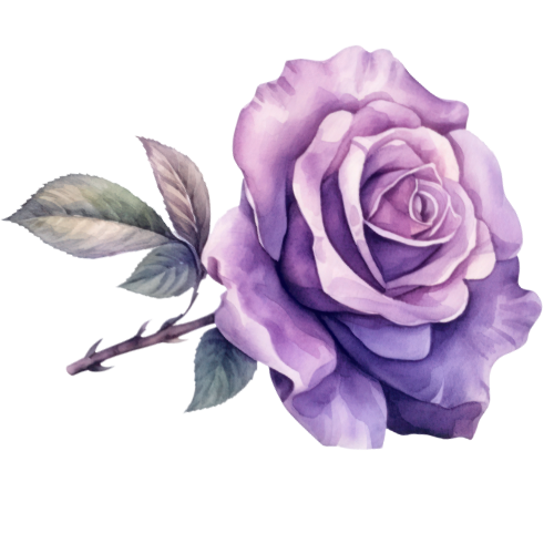 A lilac rose logo